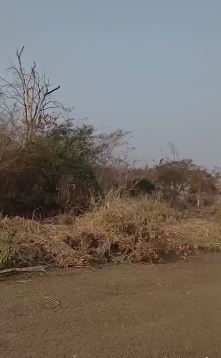 Capturar 2